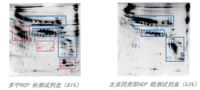 CHO細(xì)胞宿主蛋白檢測試劑盒